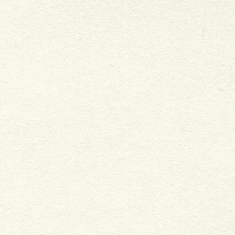 ZZ27 Frosted decorative panel