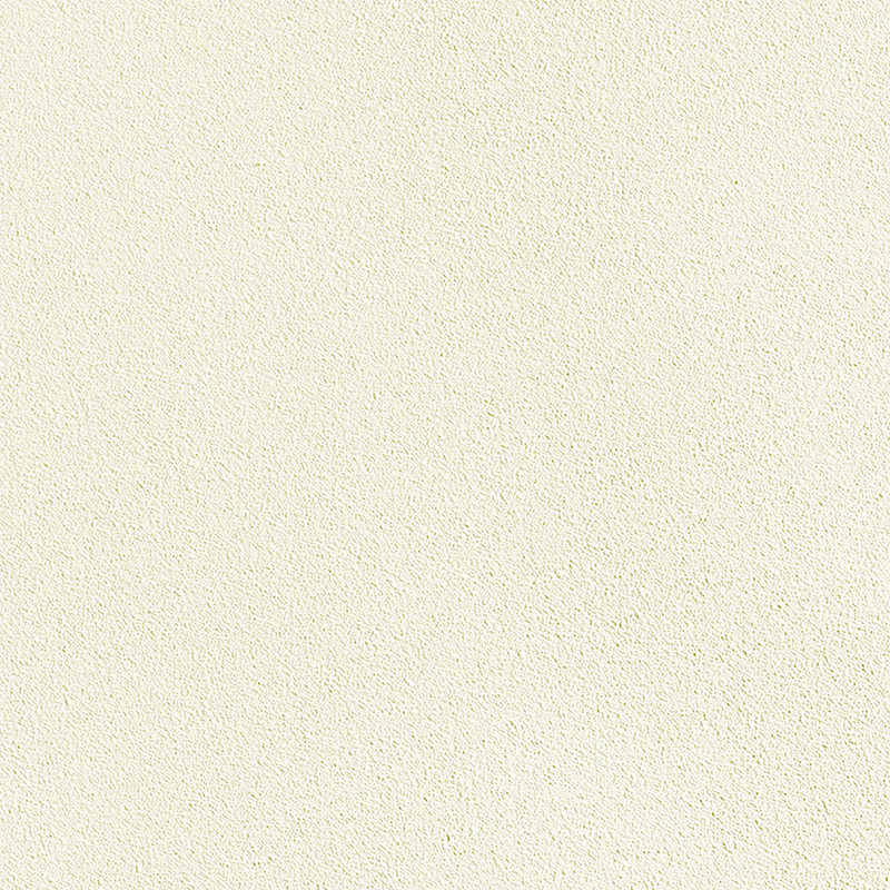 ZZ27 Frosted decorative panel