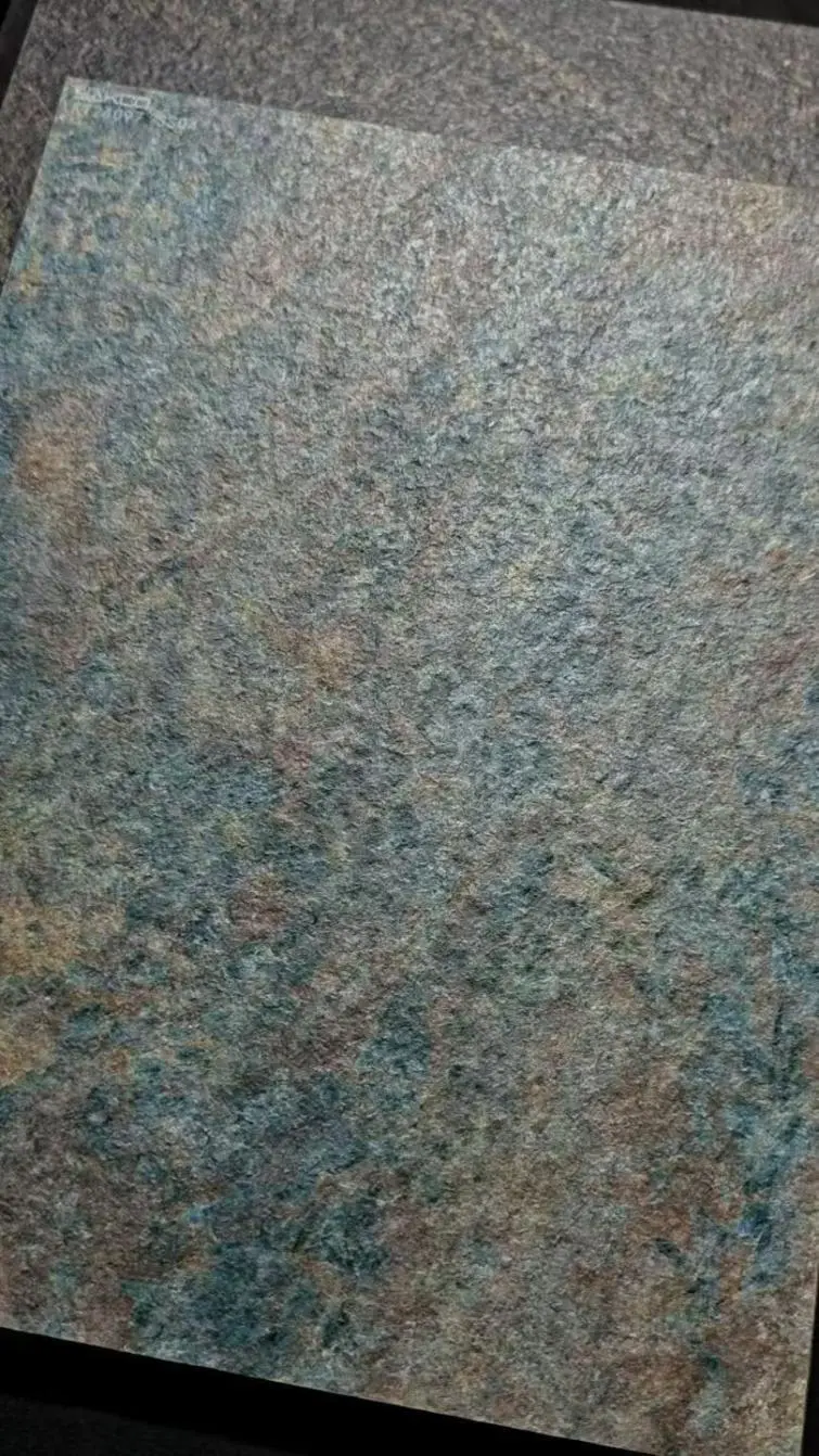 9233 9233